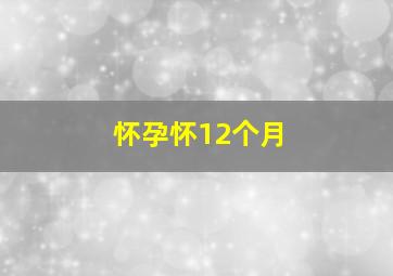 怀孕怀12个月