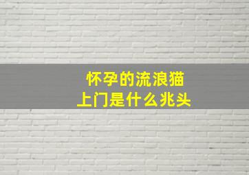 怀孕的流浪猫上门是什么兆头