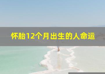 怀胎12个月出生的人命运