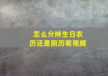 怎么分辨生日农历还是阴历呢视频