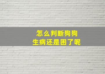 怎么判断狗狗生病还是困了呢