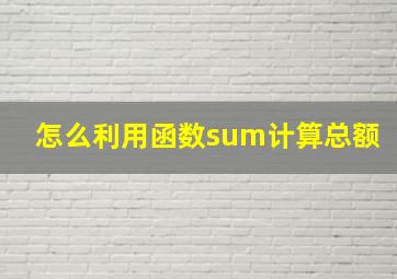 怎么利用函数sum计算总额