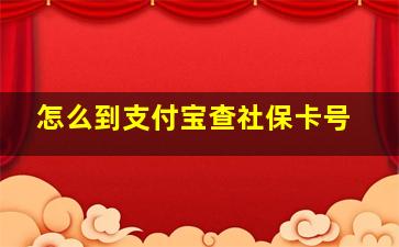 怎么到支付宝查社保卡号