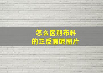 怎么区别布料的正反面呢图片