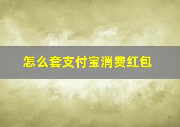 怎么套支付宝消费红包