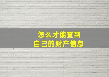 怎么才能查到自己的财产信息