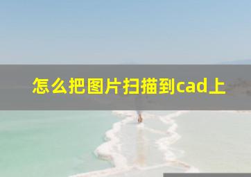 怎么把图片扫描到cad上