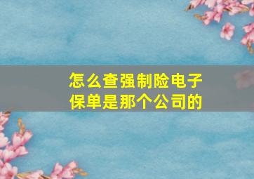 怎么查强制险电子保单是那个公司的