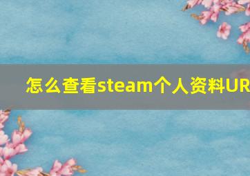 怎么查看steam个人资料URL