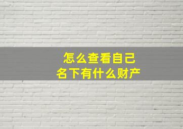 怎么查看自己名下有什么财产