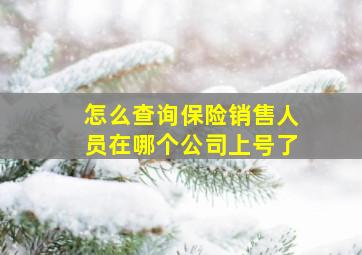 怎么查询保险销售人员在哪个公司上号了