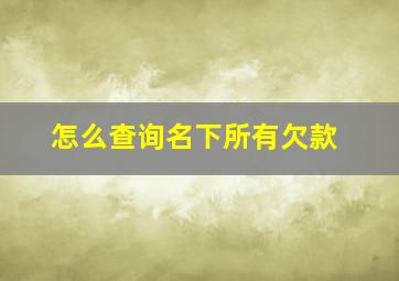 怎么查询名下所有欠款