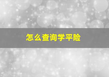 怎么查询学平险