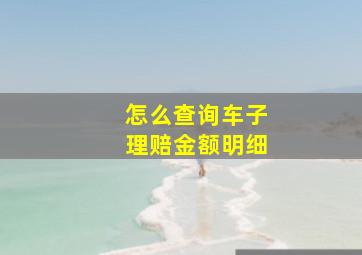 怎么查询车子理赔金额明细