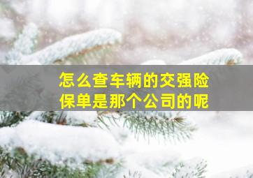 怎么查车辆的交强险保单是那个公司的呢