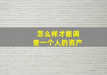 怎么样才能调查一个人的资产