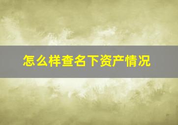 怎么样查名下资产情况