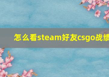 怎么看steam好友csgo战绩