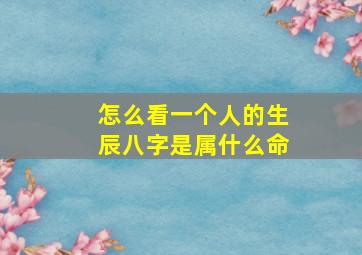 怎么看一个人的生辰八字是属什么命