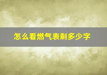 怎么看燃气表剩多少字