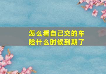 怎么看自己交的车险什么时候到期了