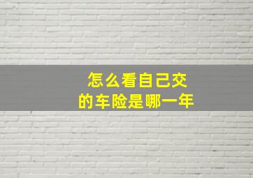 怎么看自己交的车险是哪一年