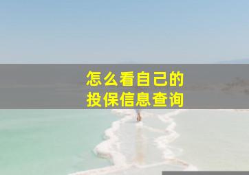 怎么看自己的投保信息查询