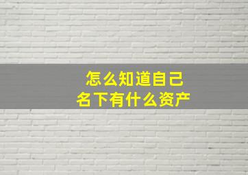 怎么知道自己名下有什么资产