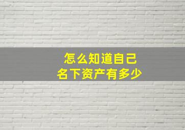 怎么知道自己名下资产有多少