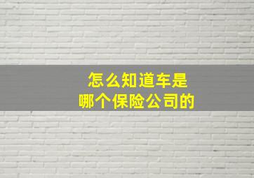 怎么知道车是哪个保险公司的