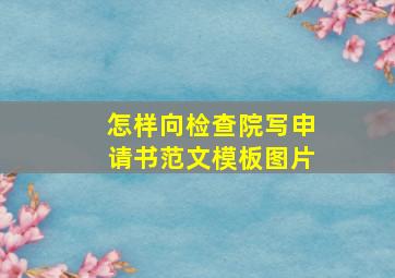 怎样向检查院写申请书范文模板图片