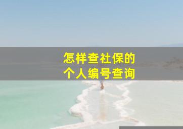 怎样查社保的个人编号查询