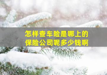 怎样查车险是哪上的保险公司呢多少钱啊