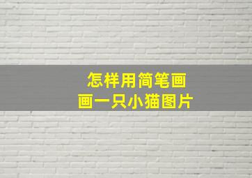 怎样用简笔画画一只小猫图片