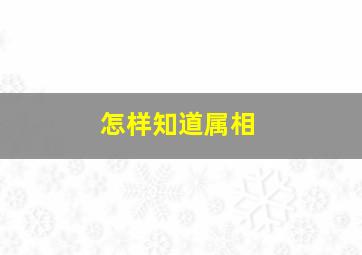 怎样知道属相