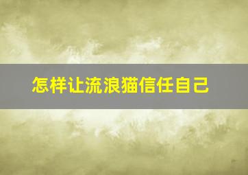 怎样让流浪猫信任自己