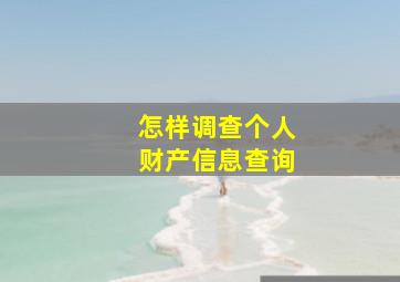 怎样调查个人财产信息查询