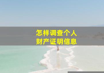 怎样调查个人财产证明信息