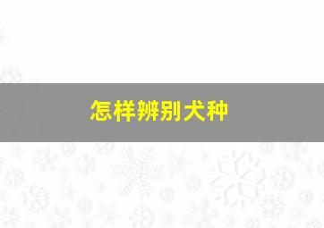 怎样辨别犬种