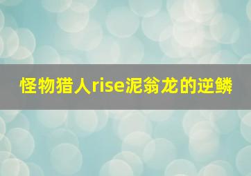 怪物猎人rise泥翁龙的逆鳞