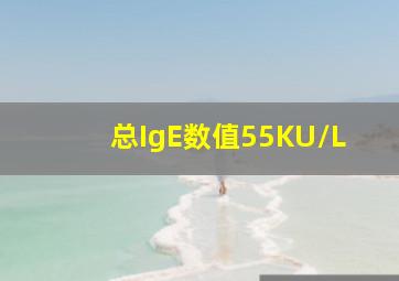 总IgE数值55KU/L