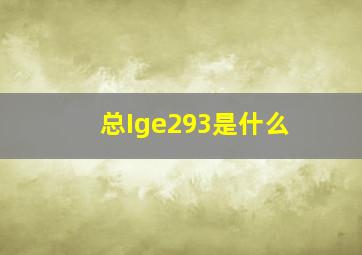 总Ige293是什么