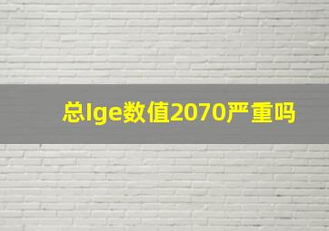 总Ige数值2070严重吗