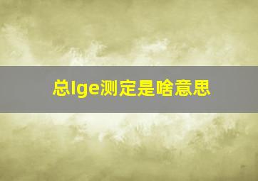 总Ige测定是啥意思