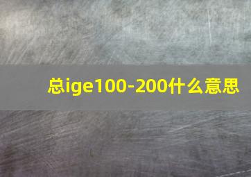 总ige100-200什么意思