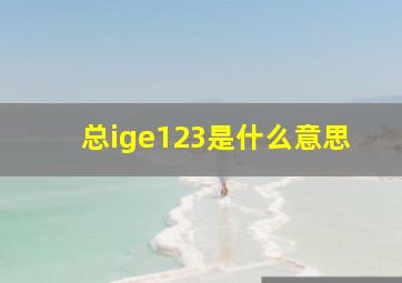 总ige123是什么意思