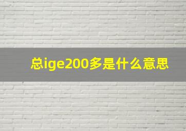 总ige200多是什么意思