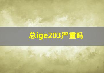 总ige203严重吗