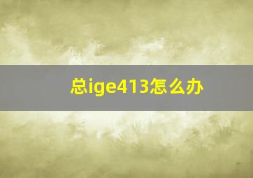 总ige413怎么办