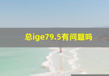 总ige79.5有问题吗